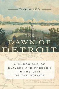 bokomslag Dawn Of Detroit