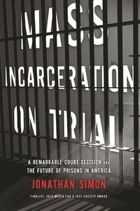 bokomslag Mass Incarceration On Trial