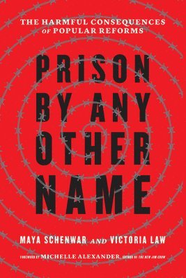 Prison by Any Other Name 1