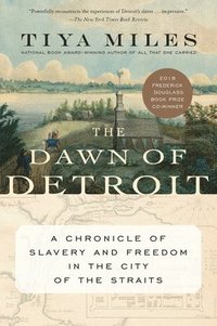 bokomslag The Dawn Of Detroit