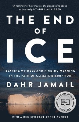 The End Of Ice 1