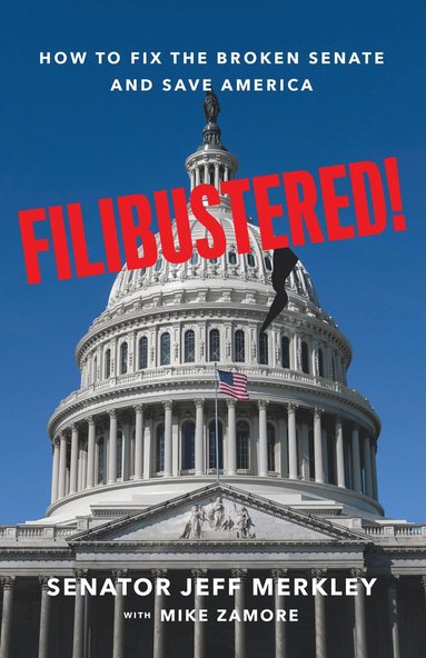 bokomslag Filibustered!