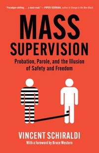 bokomslag Mass Supervision