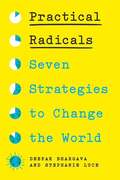 Deepak Bhargava, Stephanie Luce - Practical Radicals, Inbunden