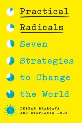 Deepak Bhargava, Stephanie Luce - Practical Radicals, Inbunden