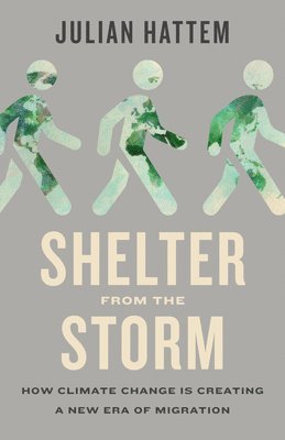 Shelter from the Storm 1