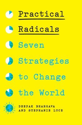 bokomslag Practical Radicals