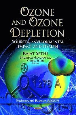 bokomslag Ozone & Ozone Depletion
