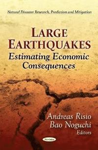 bokomslag Large Earthquakes