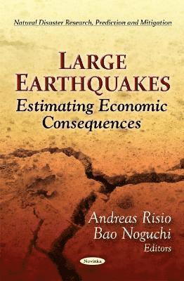 bokomslag Large Earthquakes