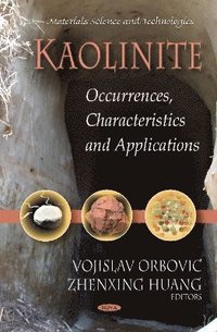 bokomslag Kaolinite