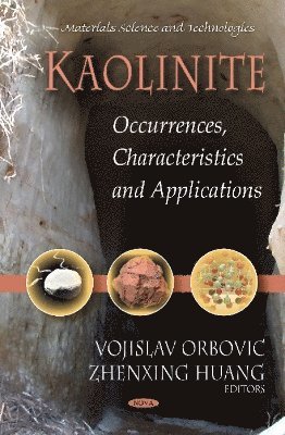 bokomslag Kaolinite