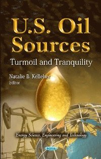 bokomslag U.S. Oil Sources