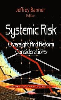 bokomslag Systemic Risk