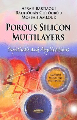 bokomslag Porous Silicon Multilayers