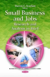 bokomslag Small Business & Jobs