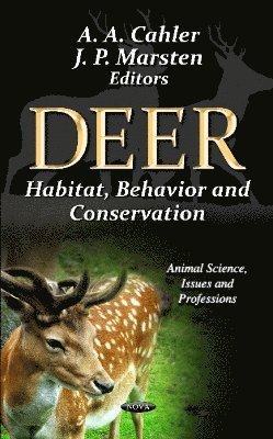 bokomslag Deer