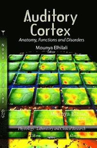 bokomslag Auditory Cortex