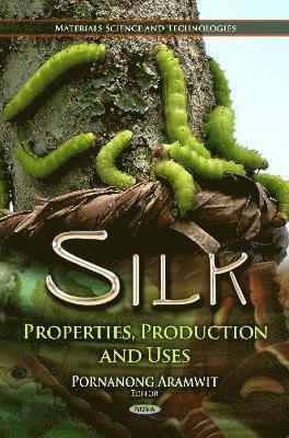bokomslag Silk