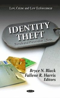 bokomslag Identity Theft