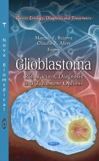 bokomslag Glioblastoma