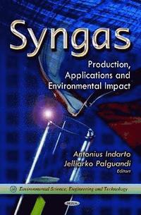 bokomslag Syngas