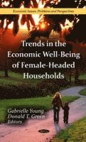 bokomslag Trends in the Economic Well-Being of Female-Headed Households
