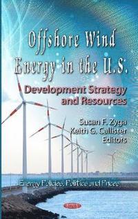 bokomslag Offshore Wind Energy in the U.S.