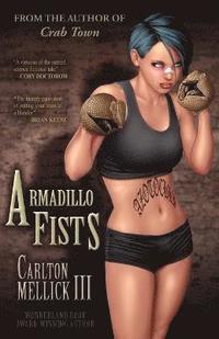 bokomslag Armadillo Fists