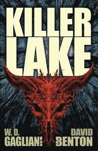 bokomslag Killer Lake