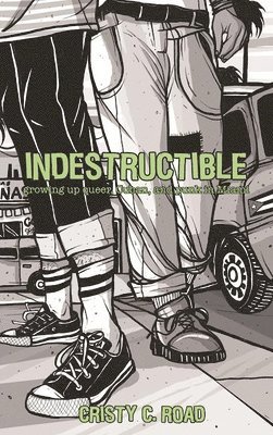 Indestructible 1