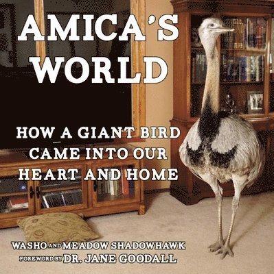 Amica's World 1