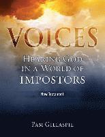 bokomslag Voices
