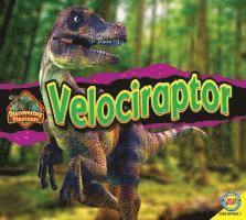 Velociraptor 1