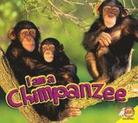 bokomslag Chimpanzee