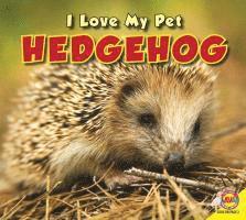 Hedgehog 1