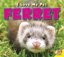 Ferret 1