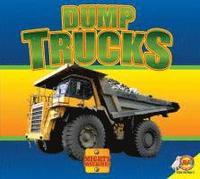 bokomslag Dump Trucks