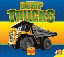 bokomslag Dump Trucks