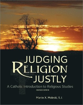 bokomslag Judging Religion Justly