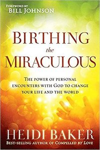 bokomslag Birthing the Miraculous