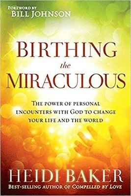 bokomslag Birthing the Miraculous