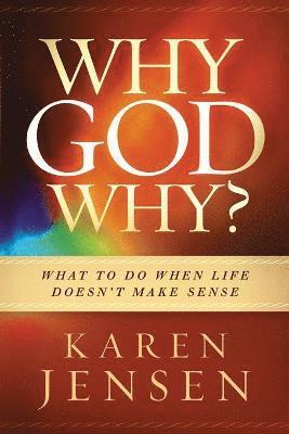 Karen Jensen - Why, God, Why?, Häftad