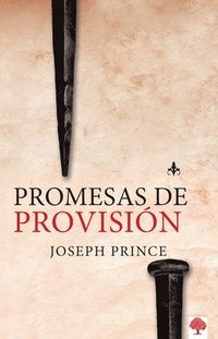 bokomslag Promesas de Provisión / Provision Promises = Provision Promises