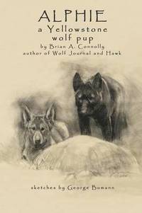 bokomslag Alphie, a Yellowstone Wolf Pup
