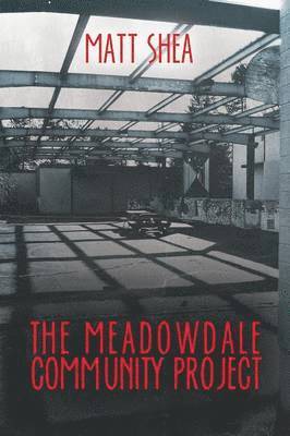 bokomslag The Meadowdale Community Project