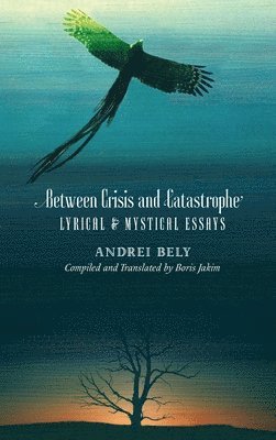 Andrei Bely - Between Crisis and Catastrophe, Inbunden