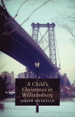 bokomslag A Child's Christmas in Williamsburg