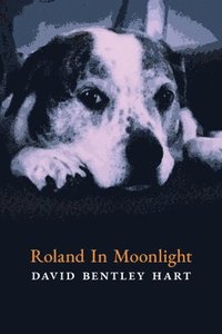bokomslag Roland in Moonlight