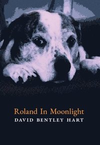 bokomslag Roland in Moonlight